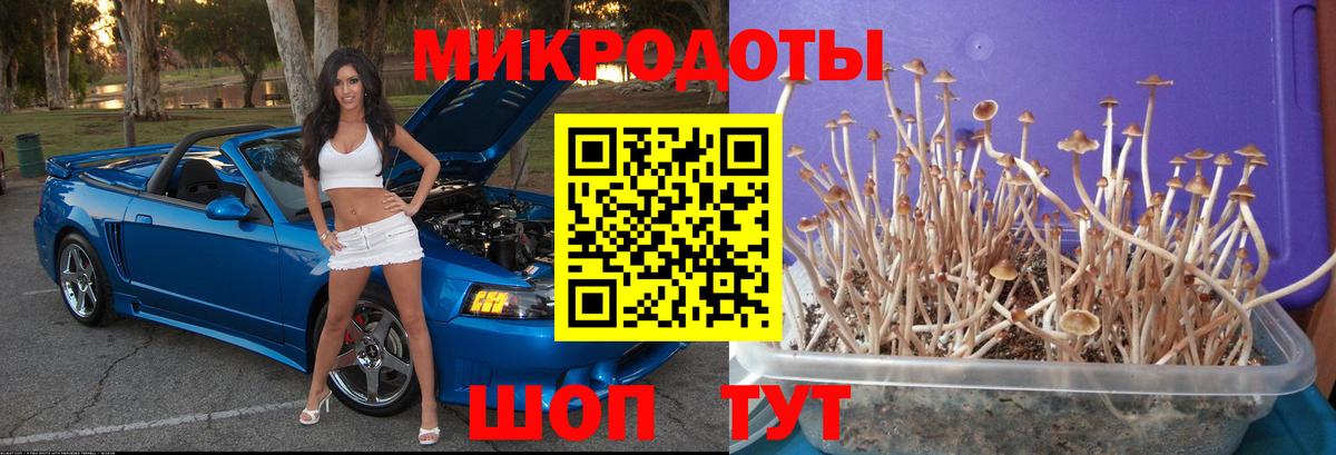 Ефремов  Псилоцибиновые грибы мухоморы  Вход с VPN  Галлюциногенные грибы Cubensis 